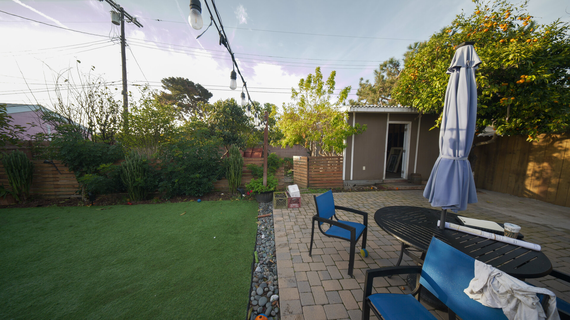Before photo 16
