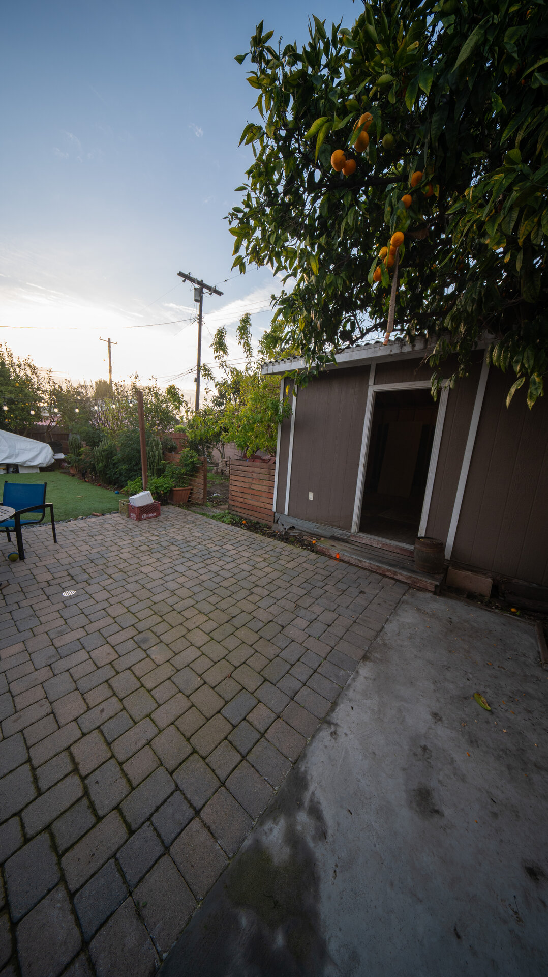 Before photo 3