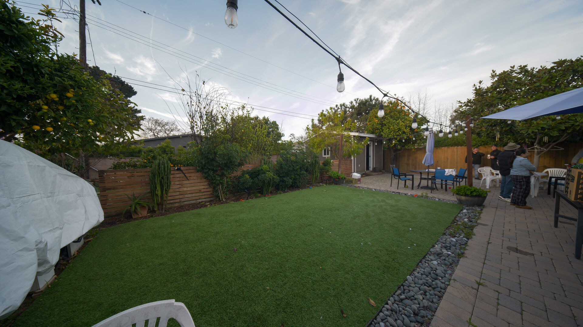 Before photo 5