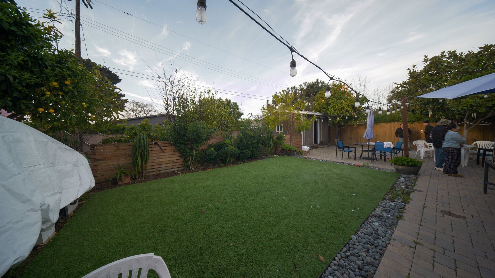 Before photo 6