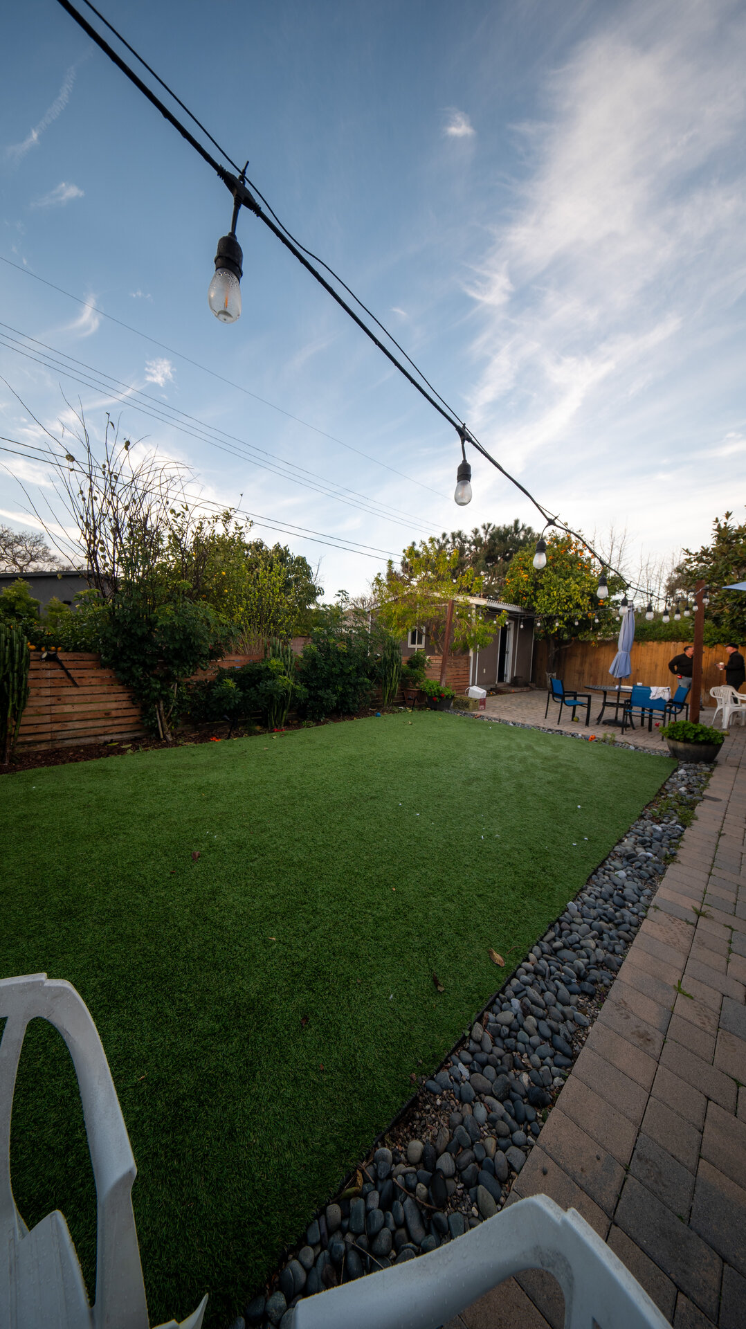 Before photo 7
