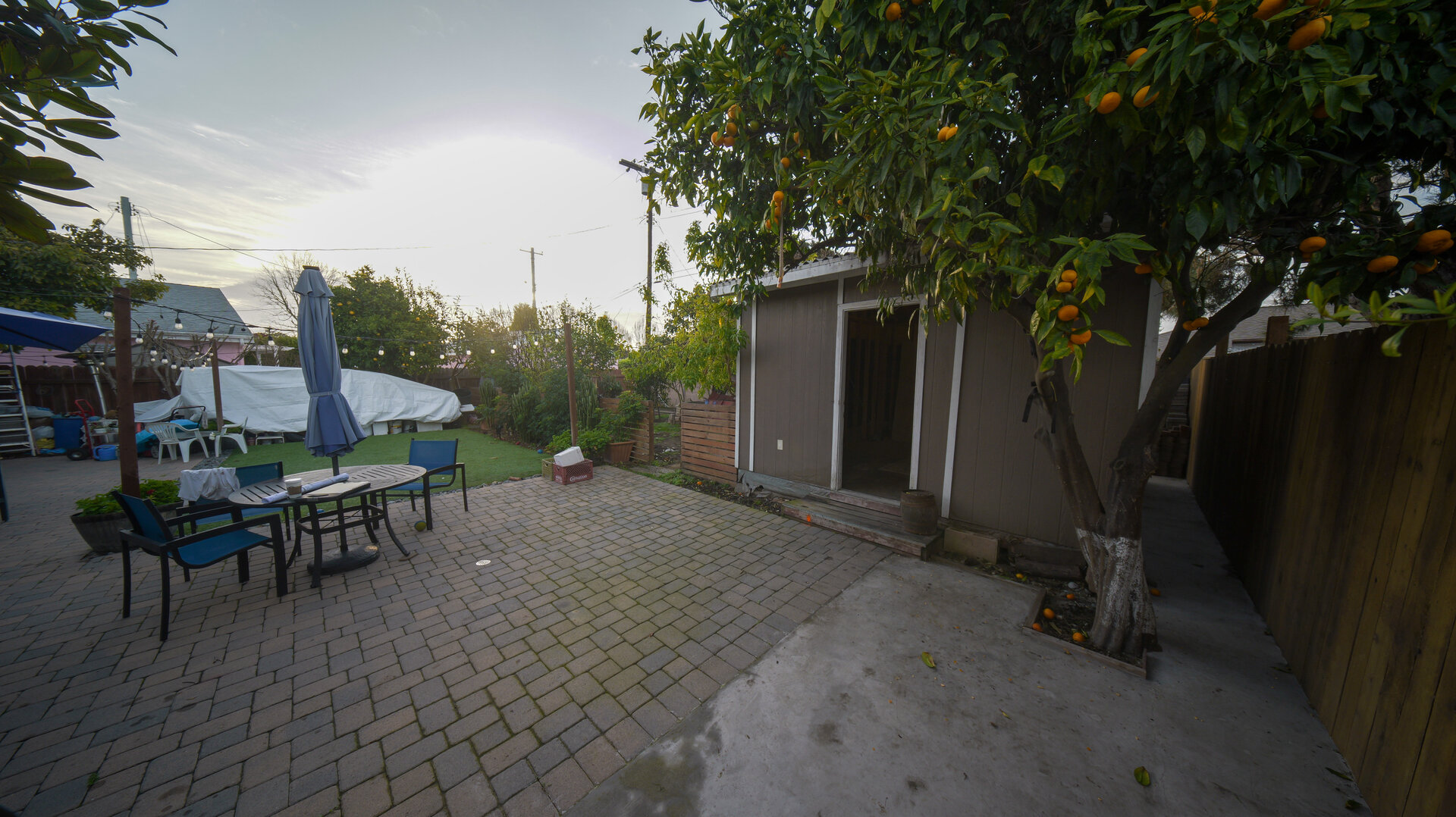 Before photo 9