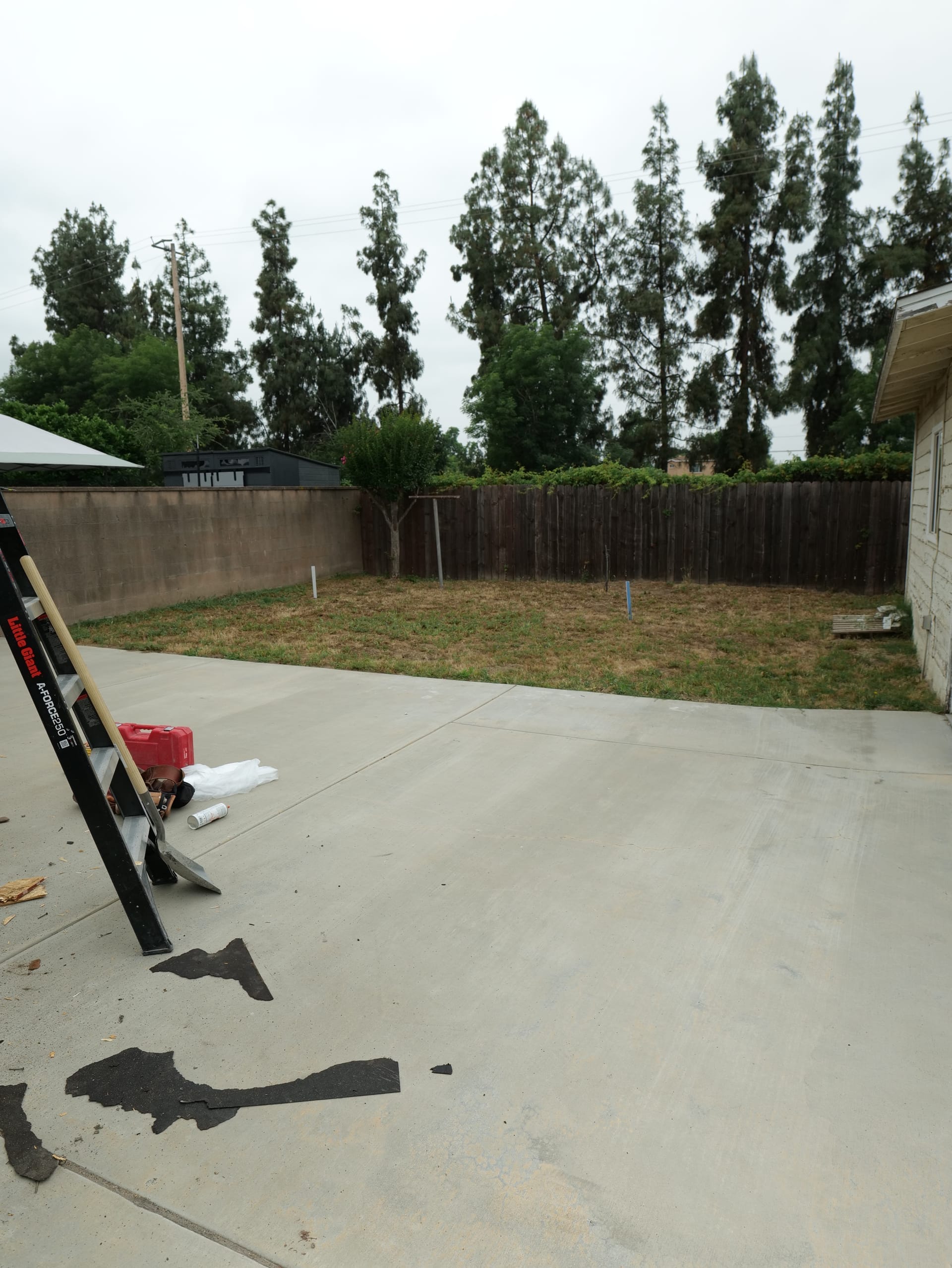 Before photo 2