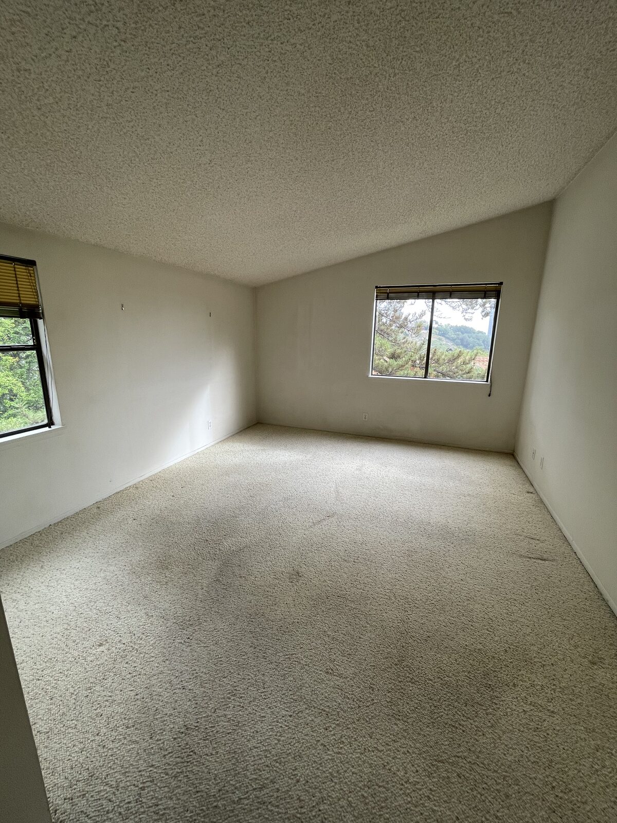 Wrightwood Full Gut Remodel