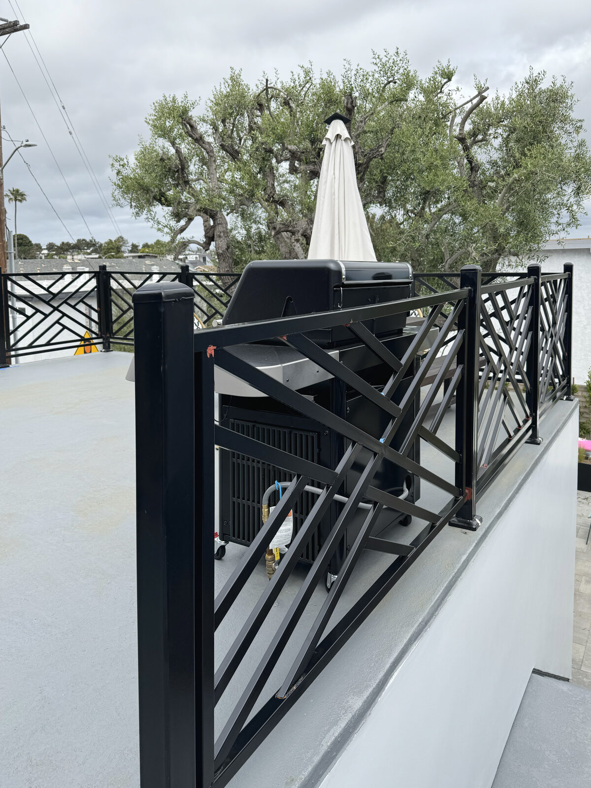 Manhattan Beach Backyard Remodel - Photo 6