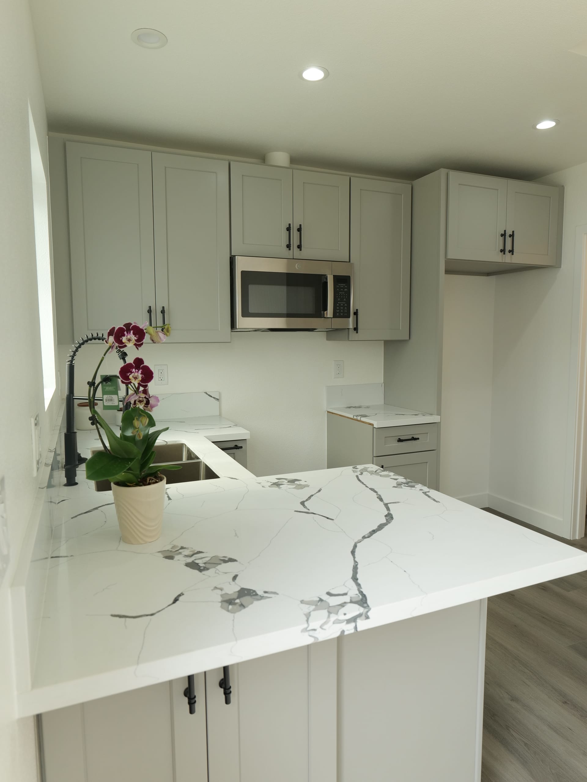 Hillford St Garage Conversion - Photo 1