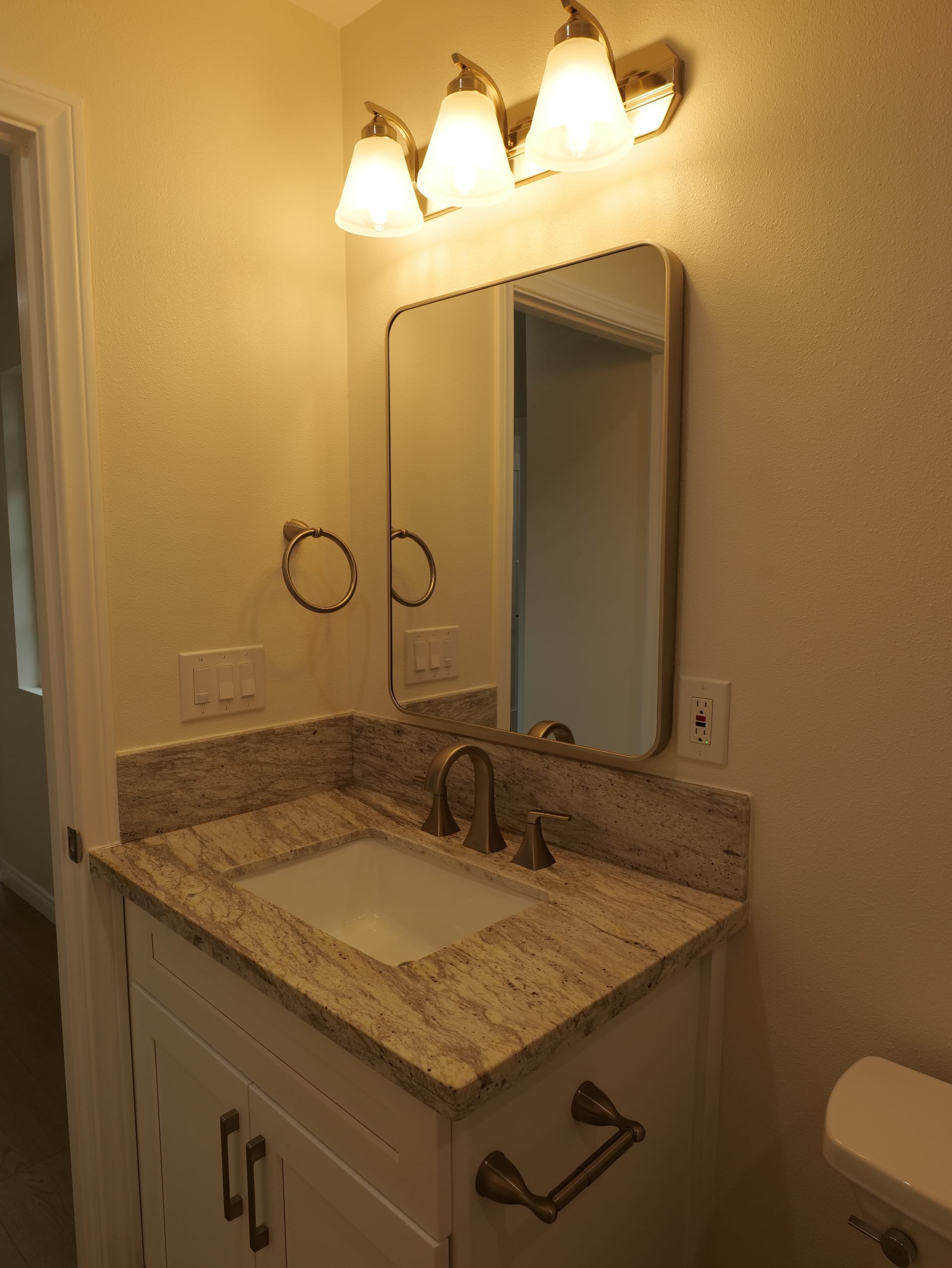 Lingan Ln Garage Conversion - Photo 12